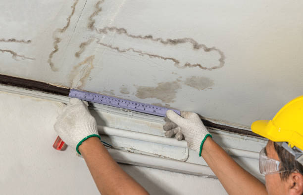 Reliable Flood Cleanup contractor in Honey Grove, TX by Water Damage Irwin